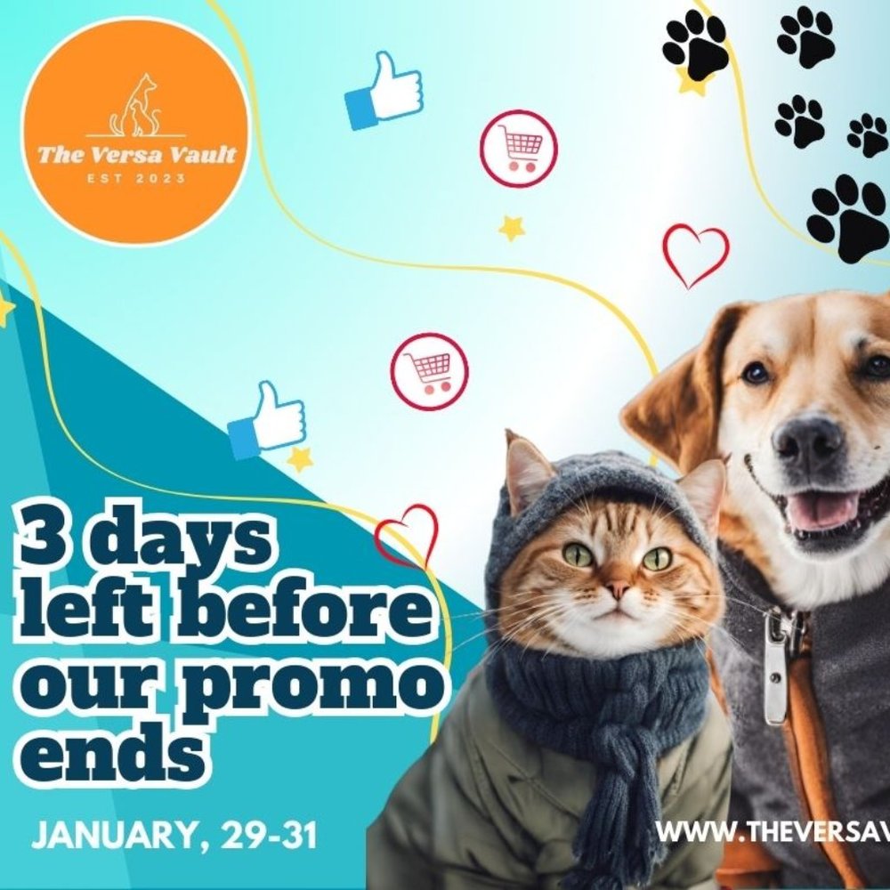 3days left before our PROMO ENDS